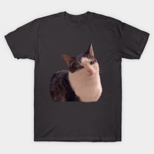 Sarcastic cat rolling eyes meme T-Shirt